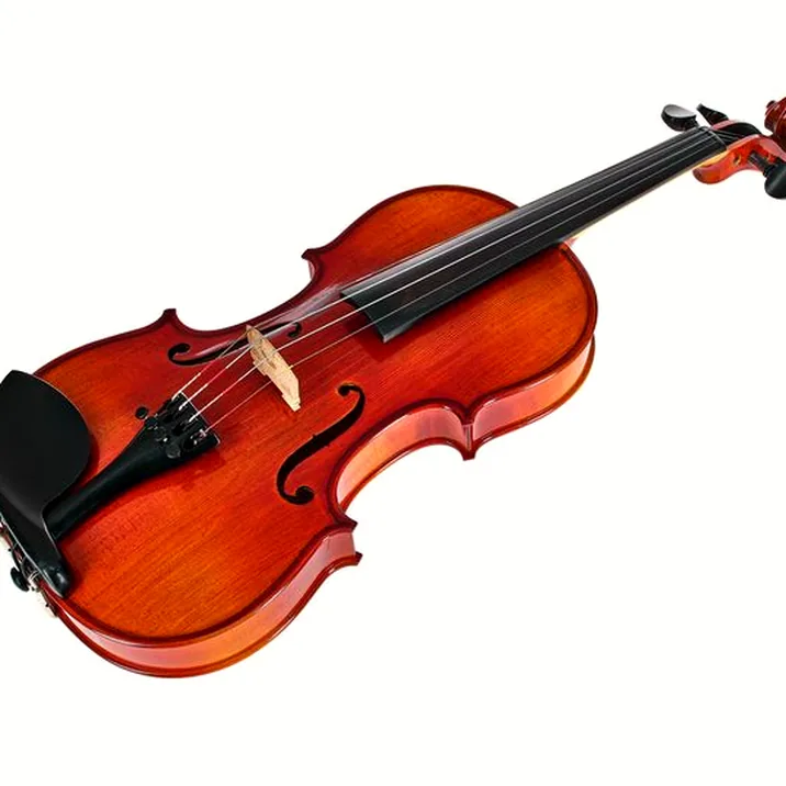 Karl Höfner H7-V Violin 3/4