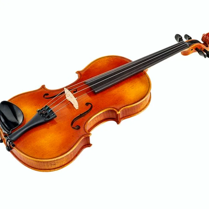 Karl Höfner Presto 3/4 Violin Outfit