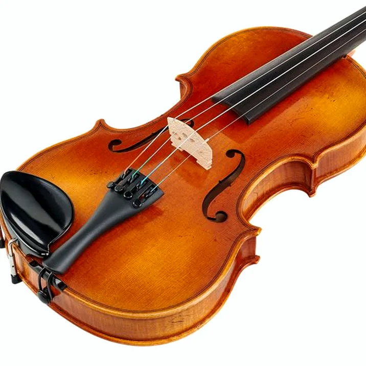 Karl Höfner Presto 3/4 Violin Outfit