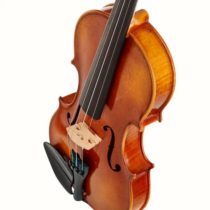 Karl Höfner Presto 3/4 Violin Outfit