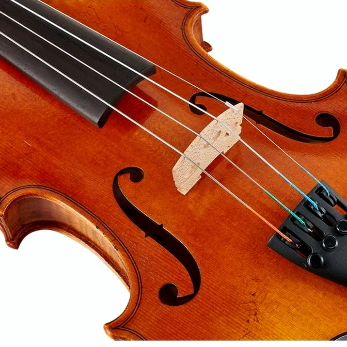 Karl Höfner Presto 3/4 Violin Outfit