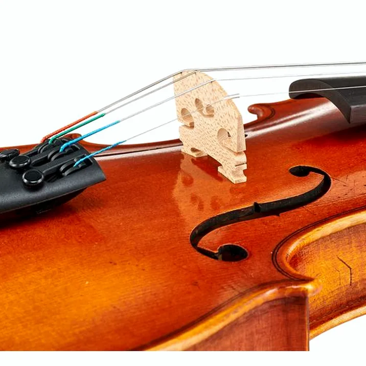 Karl Höfner Presto 3/4 Violin Outfit