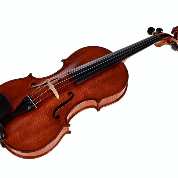 Luca Zerilli Violin Guarneri Bruna 4/4