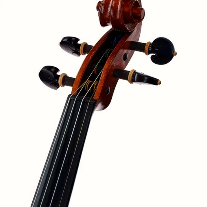 Luca Zerilli Violin Guarneri Bruna 4/4