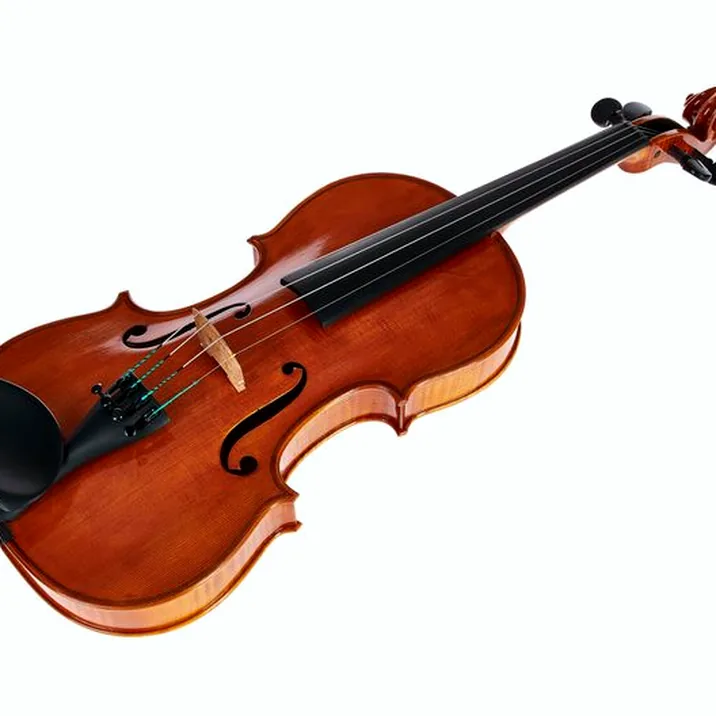 Rainer W. Leonhardt No. 100/1 Master Violin 4/4