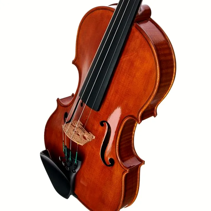 Rainer W. Leonhardt No. 100/1 Master Violin 4/4