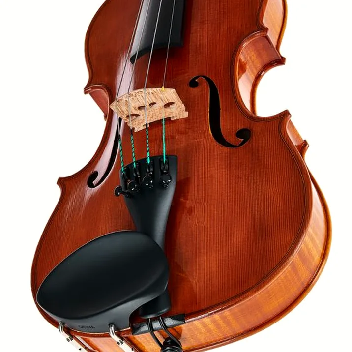 Rainer W. Leonhardt No. 100/1 Master Violin 4/4