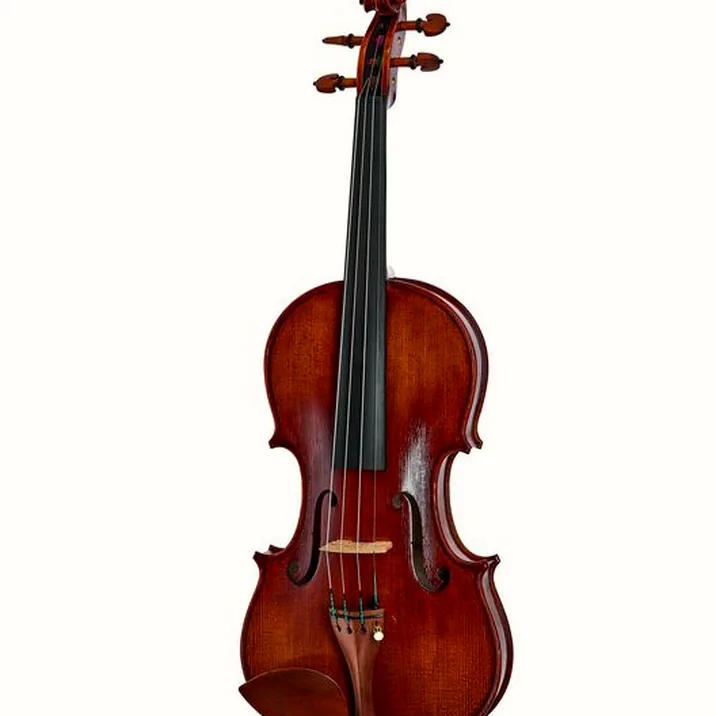 Rainer W Leonhardt No 110 1 Master Violin 4 4