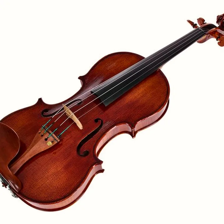 Rainer W. Leonhardt No. 110/1 Master Violin 4/4