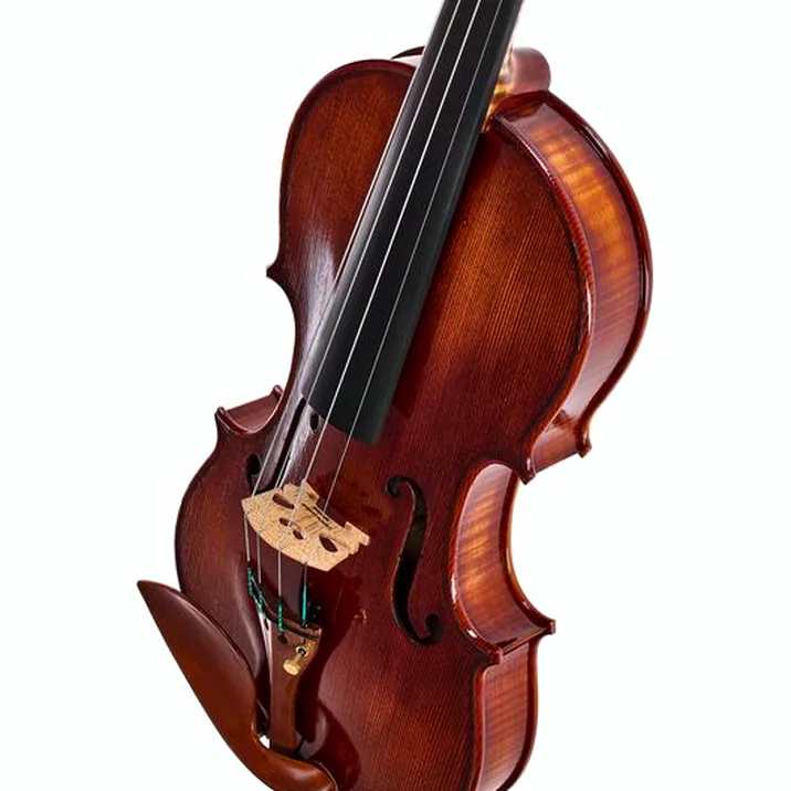 Rainer W. Leonhardt No. 110/1 Master Violin 4/4