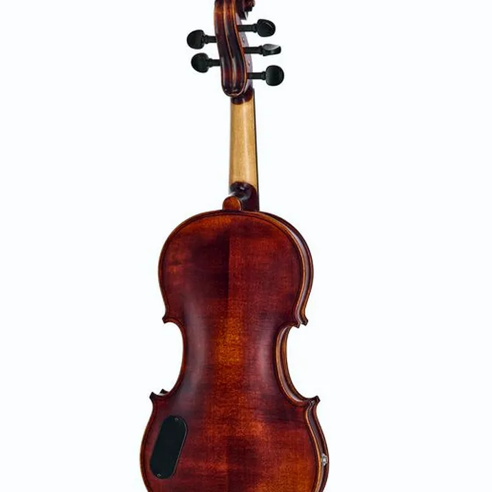 Roth & Junius Acoustic-Electric 5-Str Vn Set