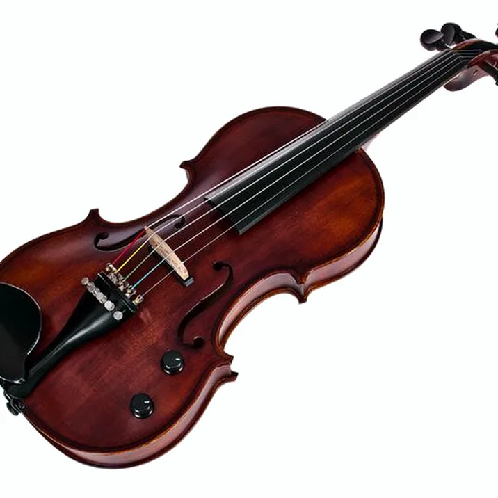 Roth & Junius Acoustic-Electric 5-Str Vn Set