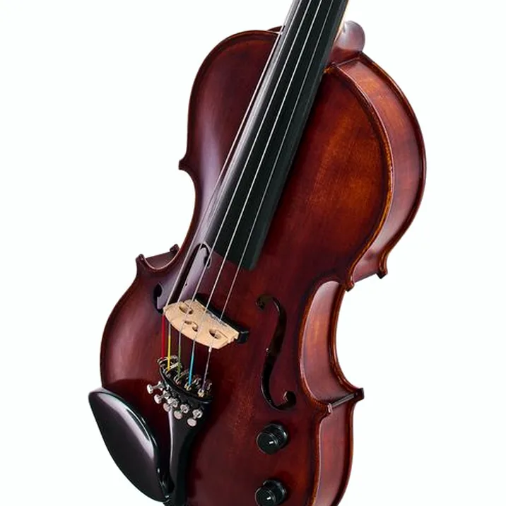 Roth & Junius Acoustic-Electric 5-Str Vn Set