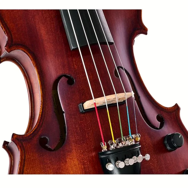 Roth & Junius Acoustic-Electric 5-Str Vn Set