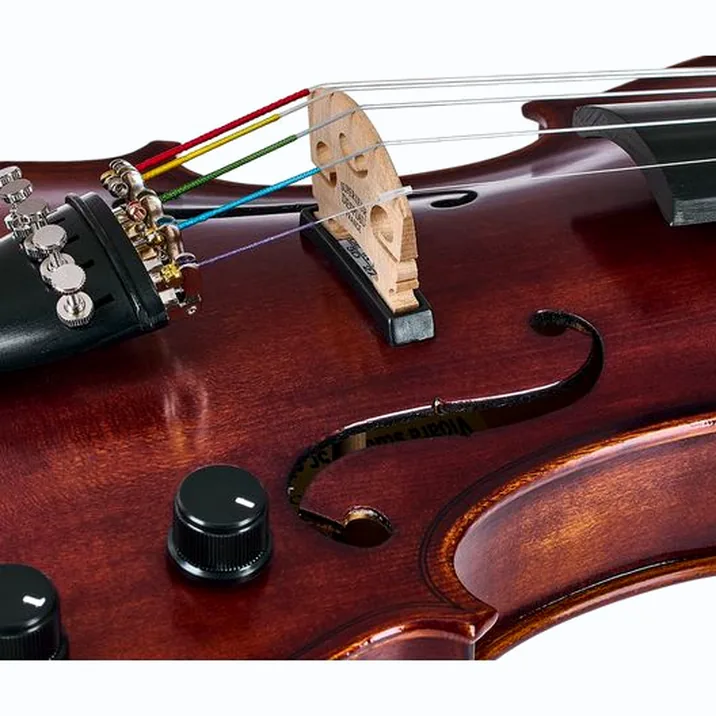 Roth & Junius Acoustic-Electric 5-Str Vn Set