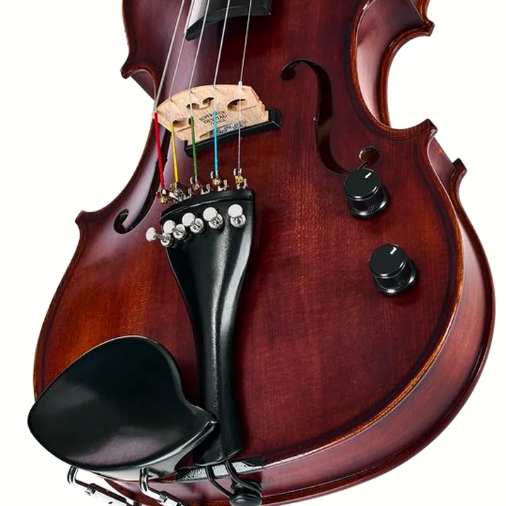 Roth & Junius Acoustic-Electric 5-Str Vn Set