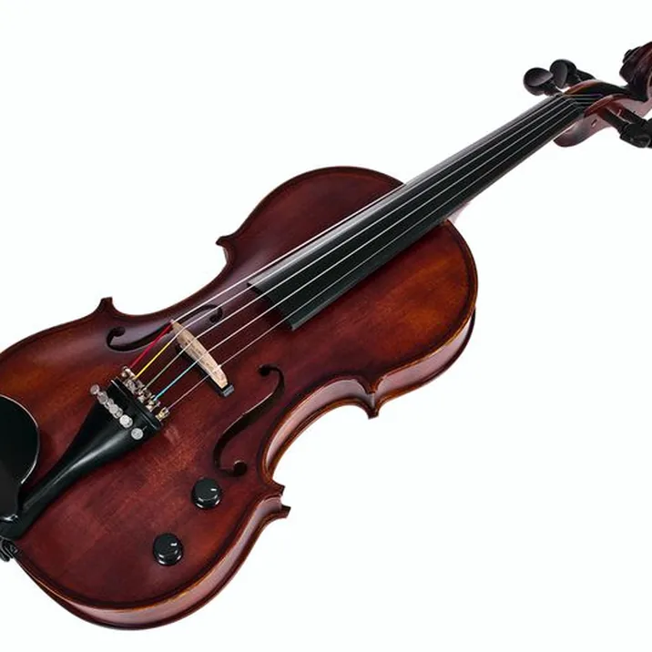 Roth & Junius Acoustic-Electric Violin 5-Str