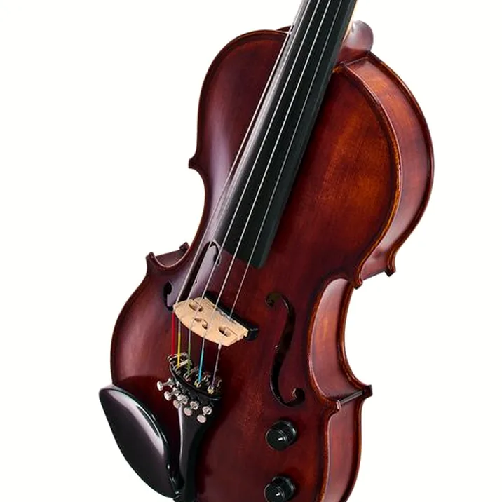 Roth & Junius Acoustic-Electric Violin 5-Str