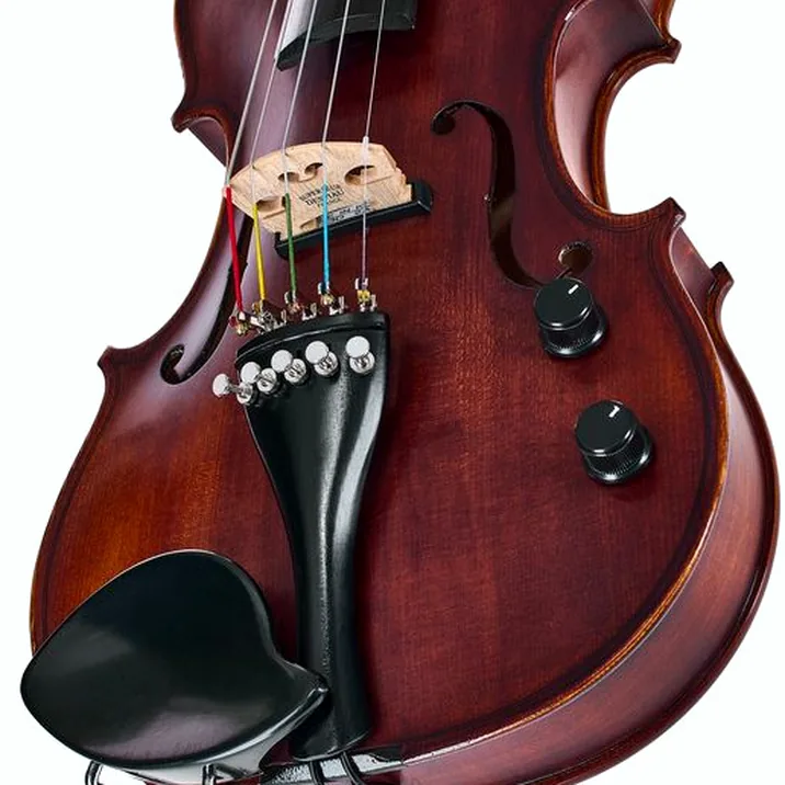 Roth & Junius Acoustic-Electric Violin 5-Str