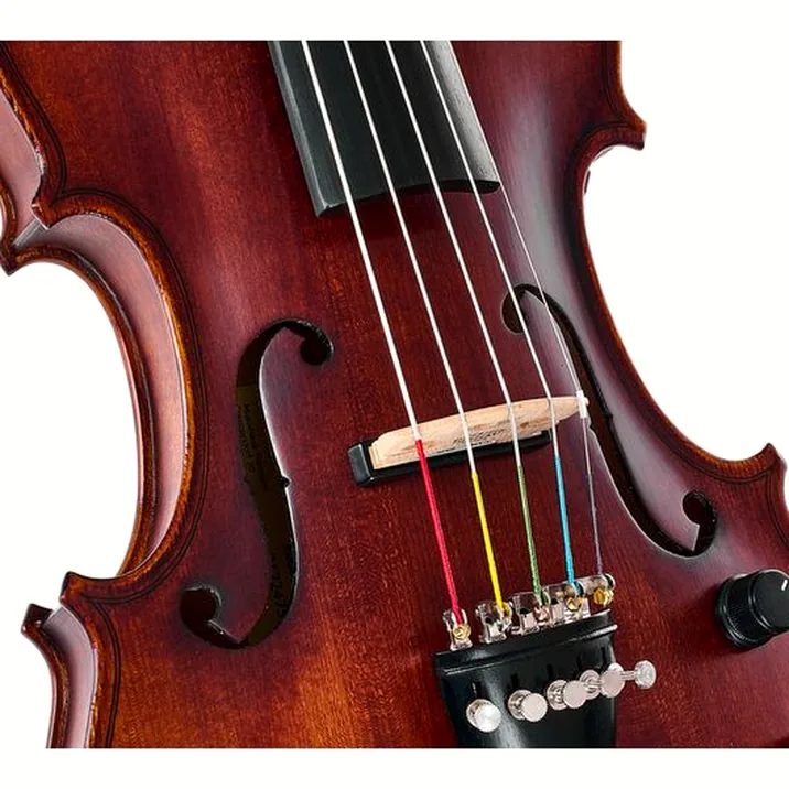 Roth & Junius Acoustic-Electric Violin 5-Str