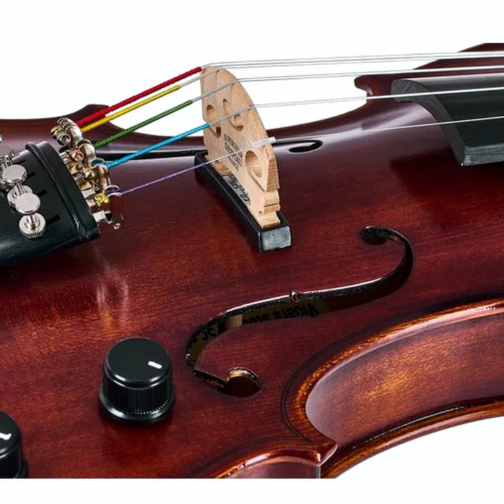 Roth & Junius Acoustic-Electric Violin 5-Str