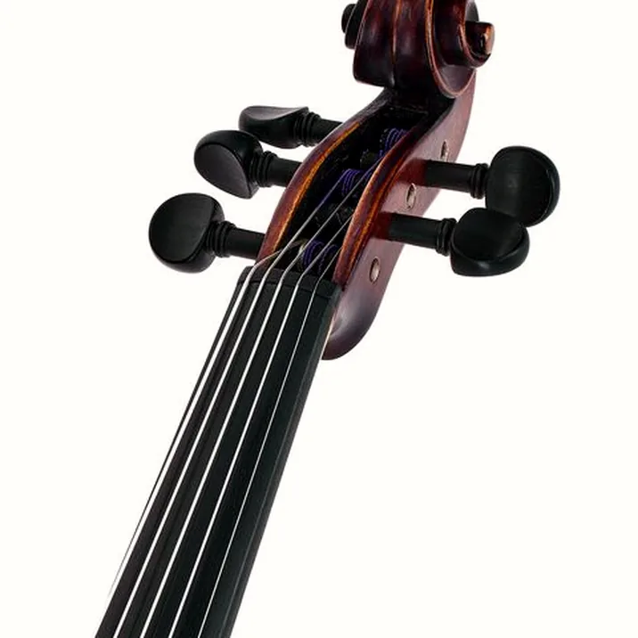 Roth & Junius Acoustic-Electric Violin 5-Str