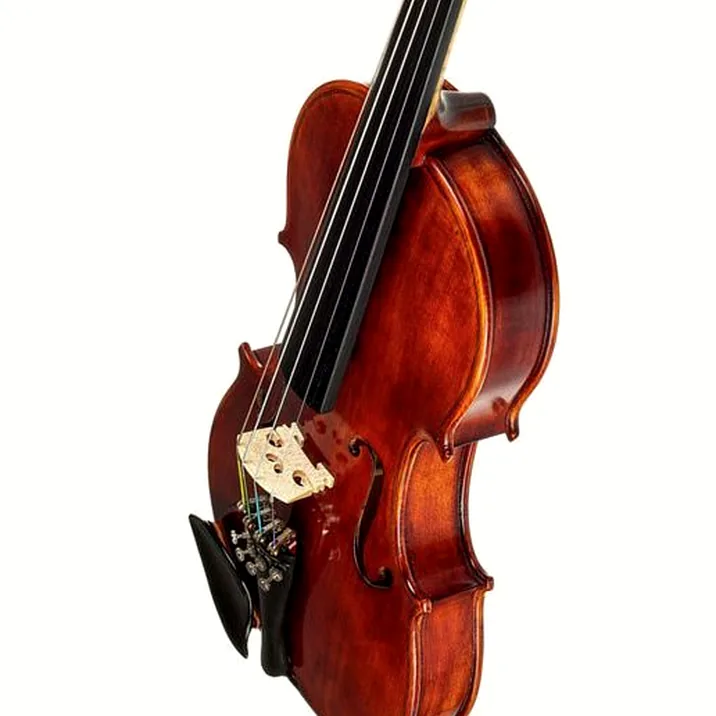 Roth & Junius Europe Antiqued Violin Set 1/2
