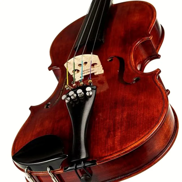 Roth & Junius Europe Antiqued Violin Set 1/2