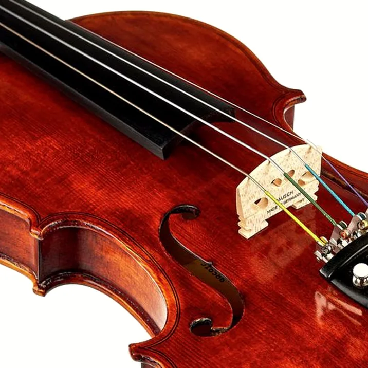 Roth & Junius Europe Antiqued Violin Set 1/2