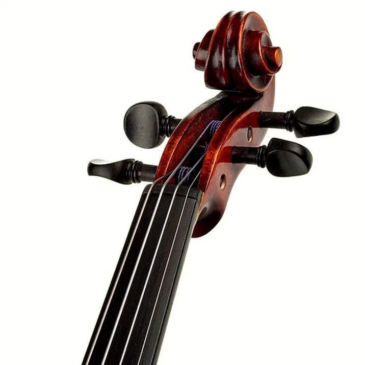Roth & Junius Europe Antiqued Violin Set 1/2