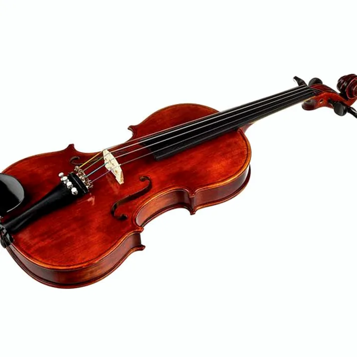 Roth & Junius Europe Antiqued Violin Set 1/4