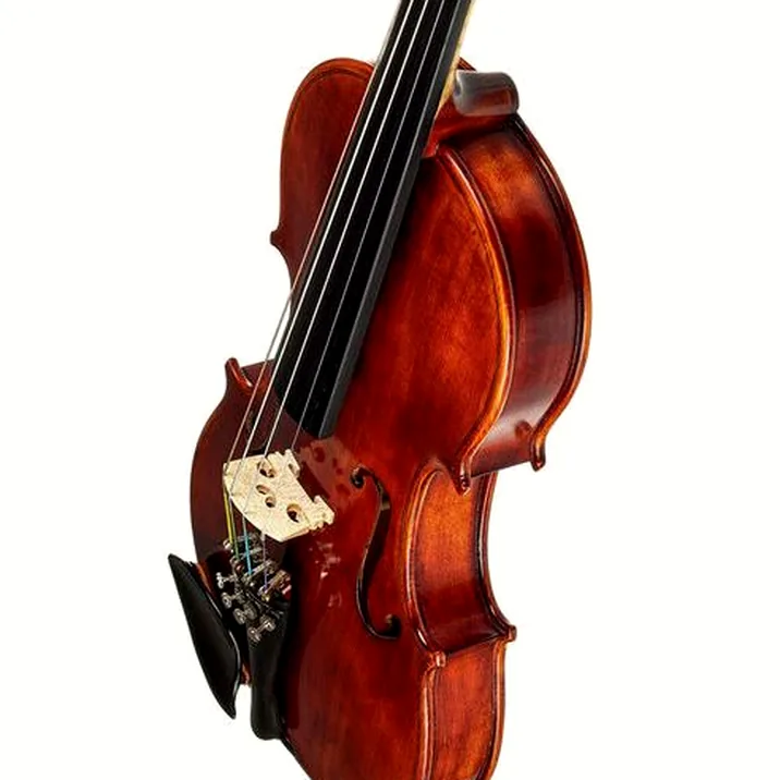 Roth & Junius Europe Antiqued Violin Set 1/4