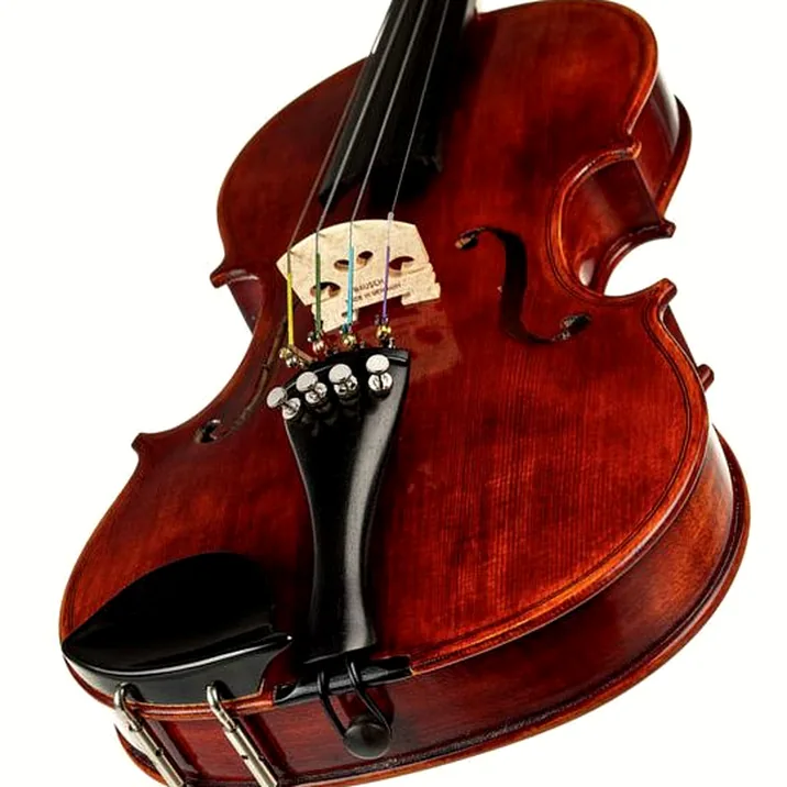 Roth & Junius Europe Antiqued Violin Set 1/4