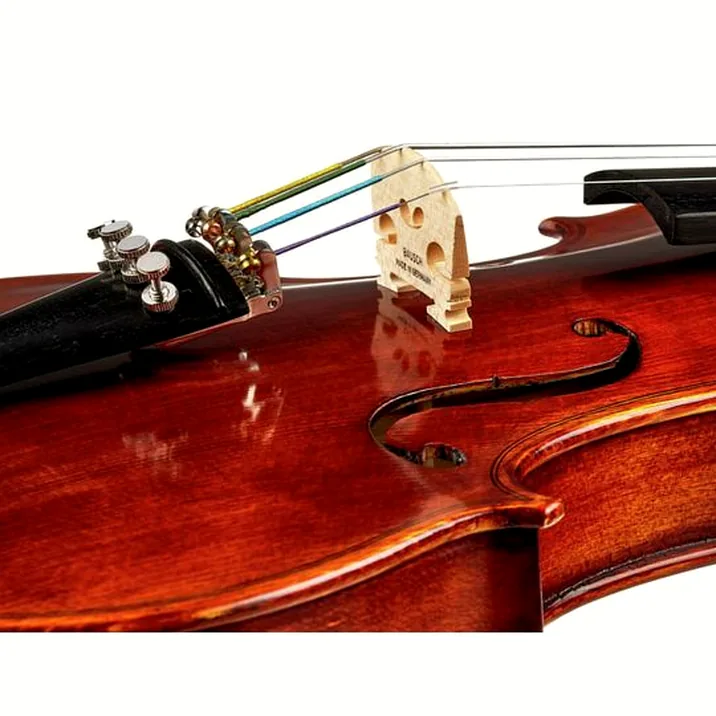 Roth & Junius Europe Antiqued Violin Set 1/4