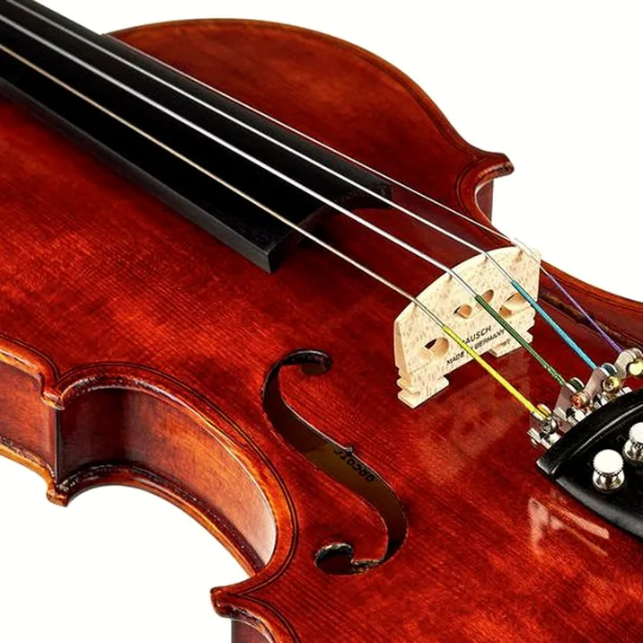 Roth & Junius Europe Antiqued Violin Set 1/4