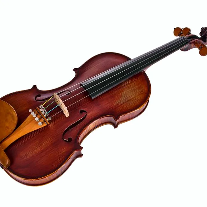 Roth & Junius Europe Orchestra Violin Gu/Bw