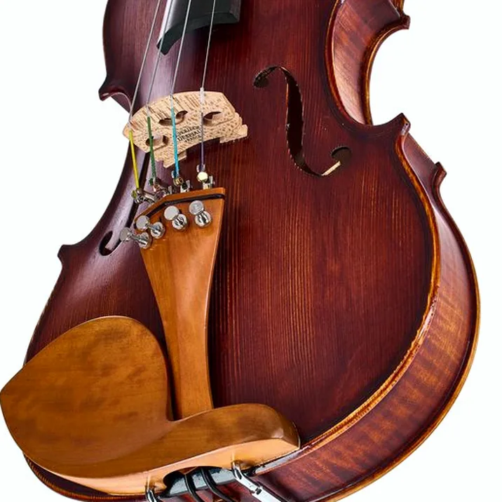 Roth & Junius Europe Orchestra Violin Gu/Bw