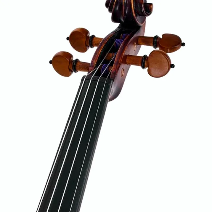 Roth & Junius Europe Orchestra Violin Gu/Bw