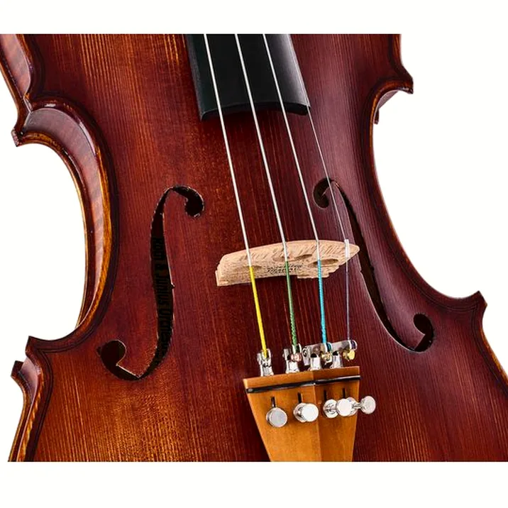 Roth & Junius Europe Orchestra Violin Gu/Bw