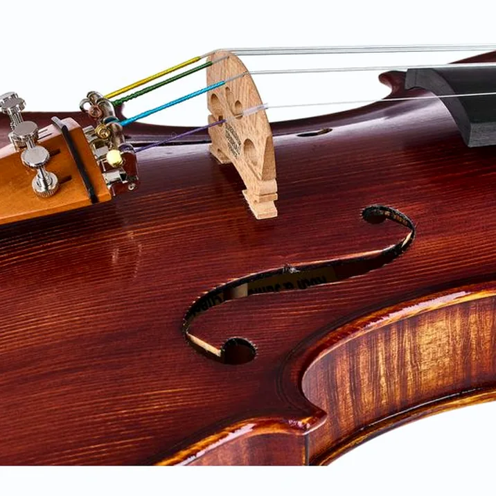 Roth & Junius Europe Orchestra Violin Gu/Bw