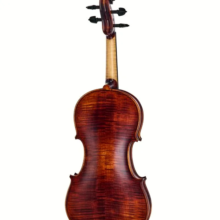 Roth & Junius Europe Orchestra Violin Set GE
