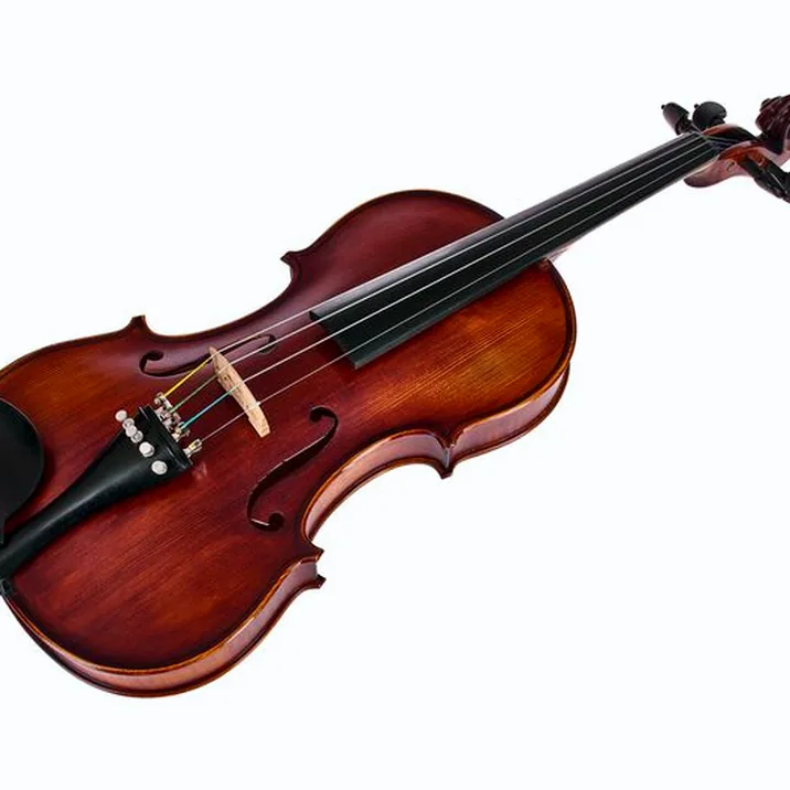 Roth & Junius Europe Orchestra Violin Set GE