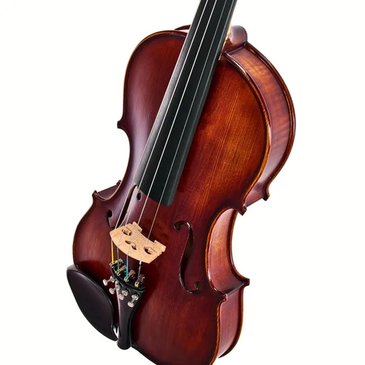 Roth & Junius Europe Orchestra Violin Set GE