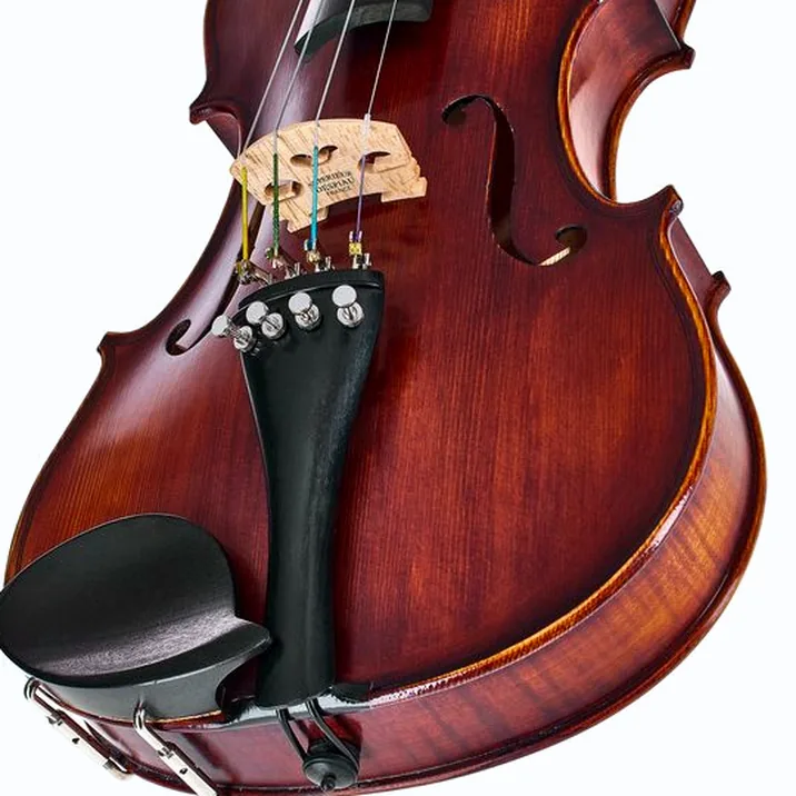 Roth & Junius Europe Orchestra Violin Set GE