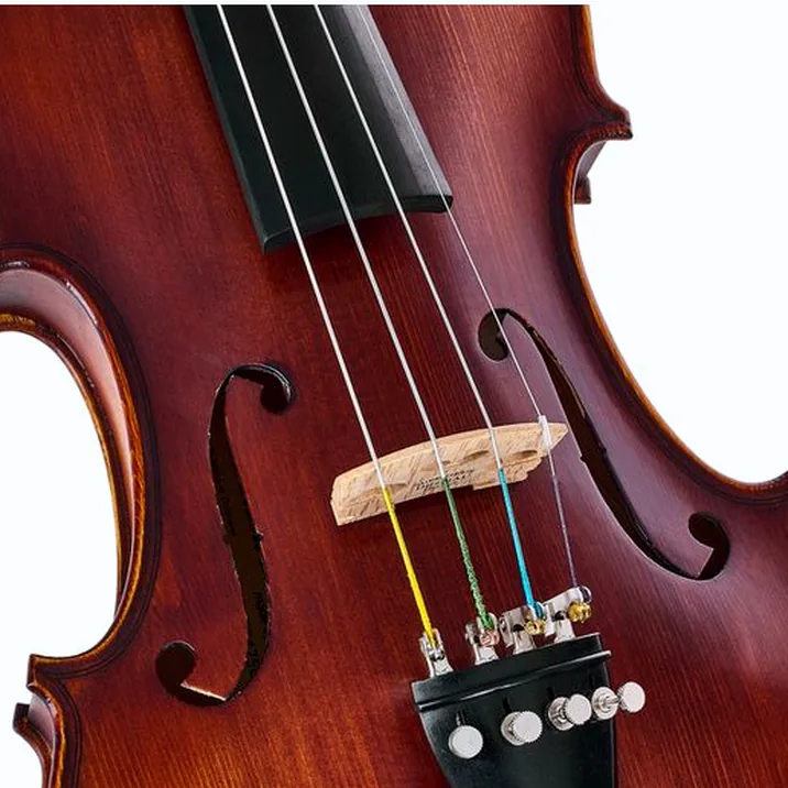 Roth & Junius Europe Orchestra Violin Set GE