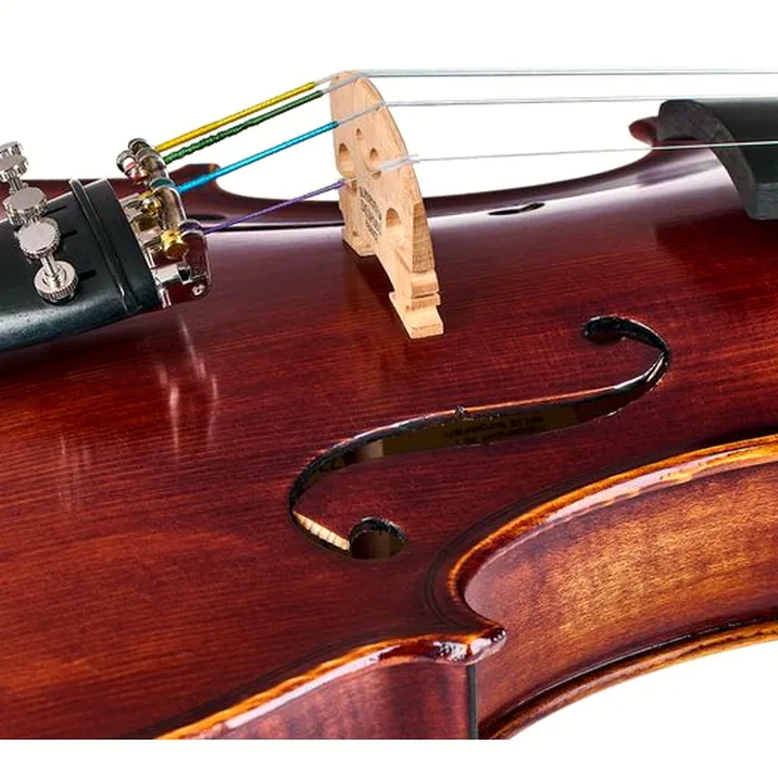 Roth & Junius Europe Orchestra Violin Set GE