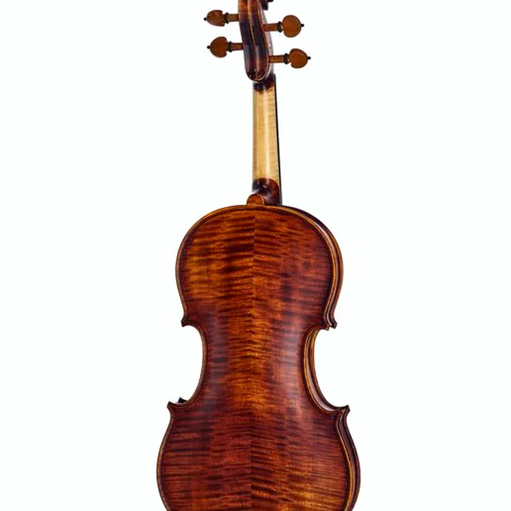Roth & Junius Europe Orchestra Violin Set SB
