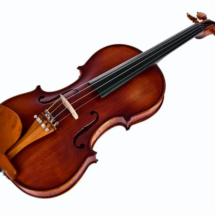 Roth & Junius Europe Orchestra Violin Set SB