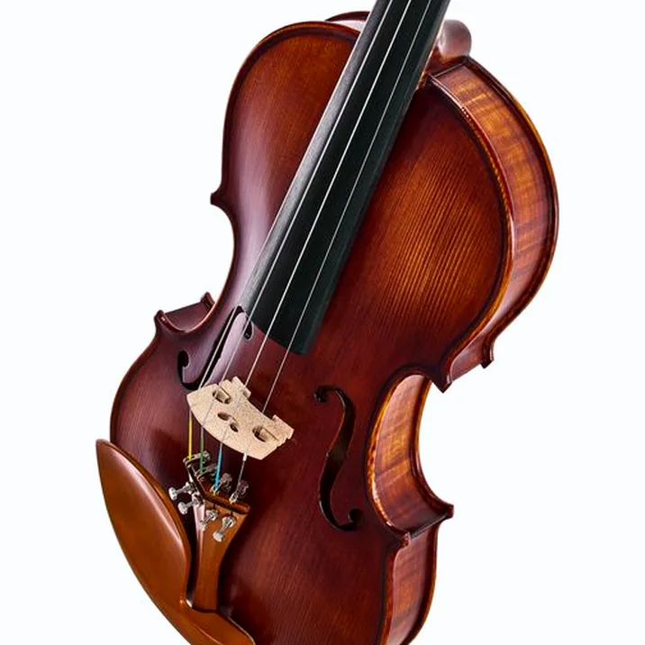 Roth & Junius Europe Orchestra Violin Set SB