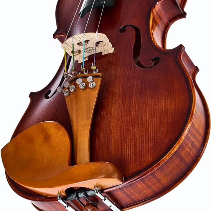 Roth & Junius Europe Orchestra Violin Set SB